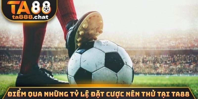 Điểm qua những tỷ lệ đặt cược nên tỷ tại TA88