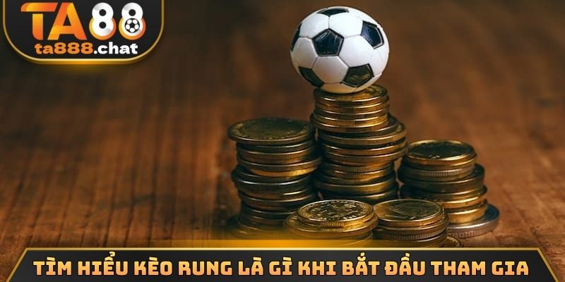 Tìm hiểu kèo rung là gì khi bắt đầu tham gia